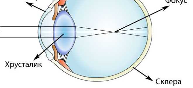 Капли для улучшения зрения при близорукости