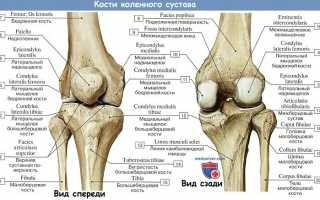 Сумки коленного сустава