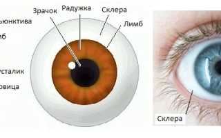 Склеропластика глаз что это такое