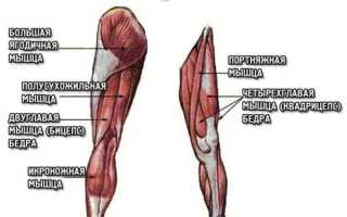 Упражнения для коленных суставов